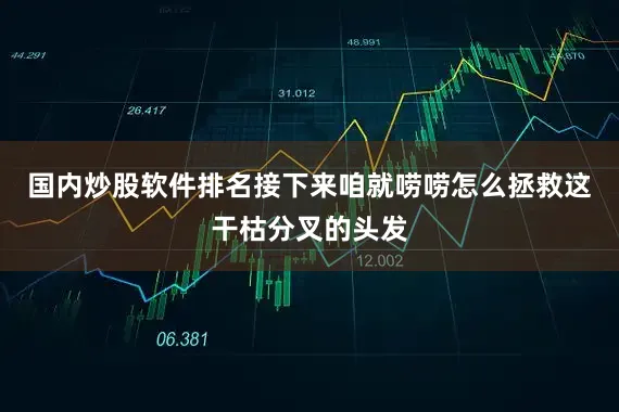国内炒股软件排名接下来咱就唠唠怎么拯救这干枯分叉的头发