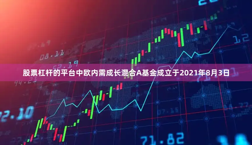 股票杠杆的平台中欧内需成长混合A基金成立于2021年8月3日